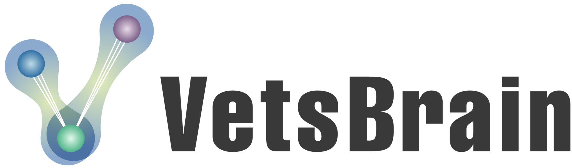 VetsBrain